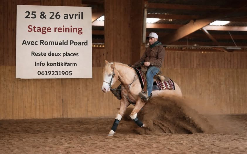 Stage reining - Kon Tiki Farm équitation western près d’Arras et Lens